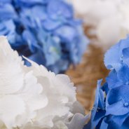 frameboeket met Hortensia close up 2 Pim van den Akker Flower Factor