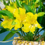 Zomers Alstroemeria boeket - Flower Factor
