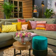 Trendy Dianthus in sfeervol interieur 