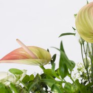 Boeket aangevuld met Anthuriums - Roos van Unen - Flower Factor