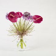 Anthuriums and Allium - Roos van Unen - Flower Factor
