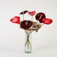 frameboeket met Anthuriums - Pim van den Akker - Flower Factor