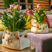Calla planten in een sfeervolle woonstijl