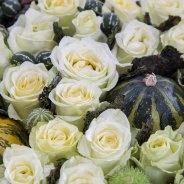 Close-up creme Decofresh roses with natural elements