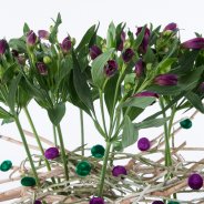 Perky two-piece Alstroemeria bouquet close-up
