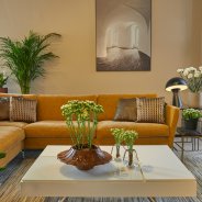 Kalanchoe in modern interieur