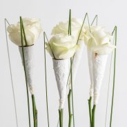 Winter wonder roses - Pim van den Akker - Flower Factor