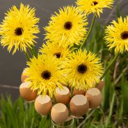 Paasboeket van Pim van den Akker met mini Gerbera Mi Punki Indy van LG Flowers