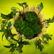 Original vase design with cut Hellebores and Sparkz Green Trick from HilverdaKooij - photo Nils van Houts