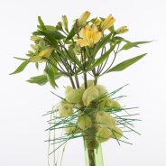 Fun spring bouquet with Alstroemeria close-up top