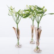 Small commercial vases with Alstroemeria 'Frozen'