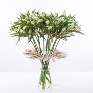 Summer design with Alstroemeria 'Frozen'