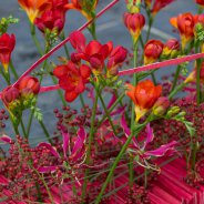 Funeral flower arrangement with Freesia - design by Pim van den Akker