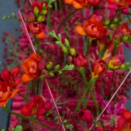 Funeral flower arrangement with Freesia - design by Pim van den Akker