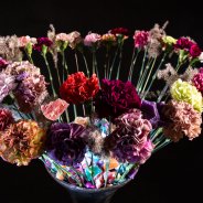 #TrendyDianthus design by Roos van Unen Flower Factor