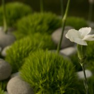 green trick funeral flower arrangement HilverdaKooij Flower Factor Roos van Unen 1