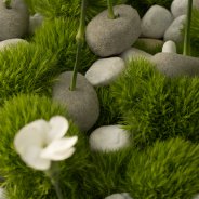 green trick funeral flower arrangement HilverdaKooij Flower Factor Roos van Unen 2