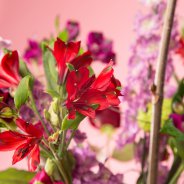 sweet Alstroemeria field bouquet