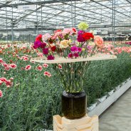 #TrendyDianthus bloemstuk