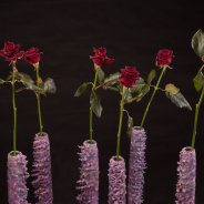 Black Baccara voor kerst