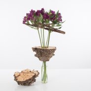 Natuurlijk najaars Alstroemeria design open bloemen