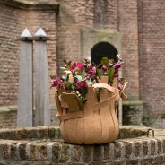 Speels Helleborus Frostkiss arrangement voor buiten