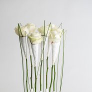 Winter wonder roses - Pim van den Akker - Flower Factor