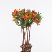 Herfstig Alstroemeria arrangement met open bloemen