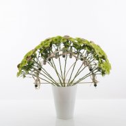 Green bouquet with Chrysant 'Cocoon'