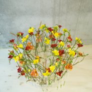 Flaming #FreestyleFreesia design top
