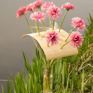 Frameboeket met Mi Twisti Iggy