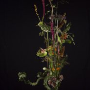Tino Hoogterp Natural Treasures bouquet