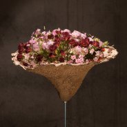 Surprising spray roses in a flower arrangement by Pim van den Akker