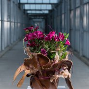 Floral jam sessions HilverdaKooij - round 2 - design Inge Quint