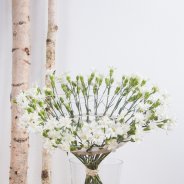 Reflecting Dianthus bouquet with Snow Star Tessino