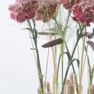 Anjer spiegel close-up