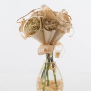 Dianthus in houten kegels