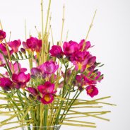 Powerful Freesia bouquet