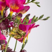 Magazine Freesia design detail