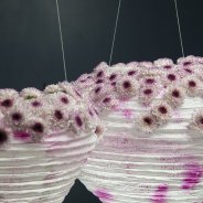 Close-up lanterns with Chrysanthemum Abbey Limited Edition 1 by Zentoo