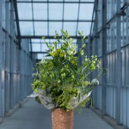 Floral jam sessions HilverdaKooij - round 1 - design Gea Korpel Beskers