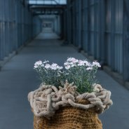 Floral jam sessions HilverdaKooij - round 2 - design Gea Korpel Beskers