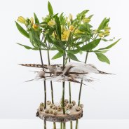 Alstroemeria design met veren