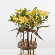 Alstroemeria design met veren