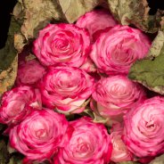 Bijzonder bloemwerk met trosrozen