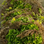 Green Hydrangea funeral design Kristel van Dijk Flower Factor