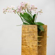 Phalaenopsis plant arrangement with an Opti-flor orchid - photo Nils van Houts