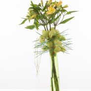 Fun spring bouquet with Alstroemeria