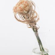 Simple Dianthus arrangement