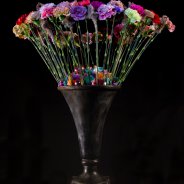 #TrendyDianthus design Roos van Unen Flower Factor totaal